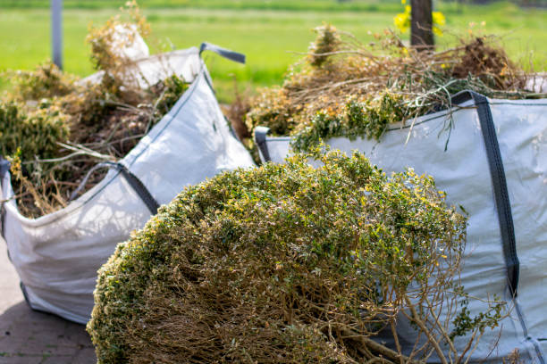 Best Residential Junk Removal  in Craig, CO
